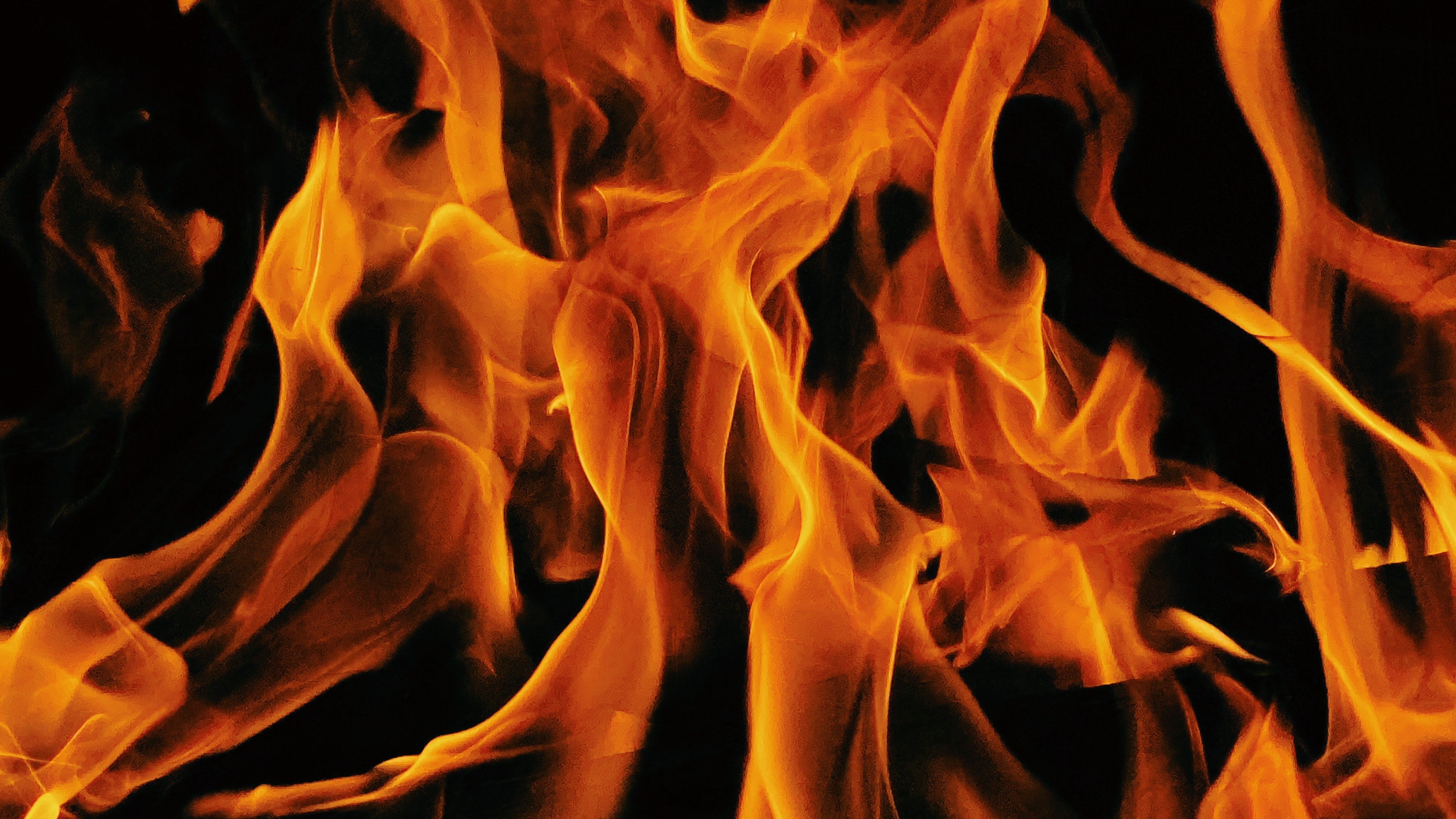 Sharing structural and fire safety intelligence